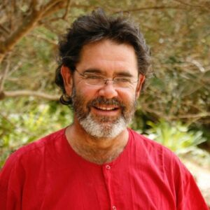 Mark Swilling